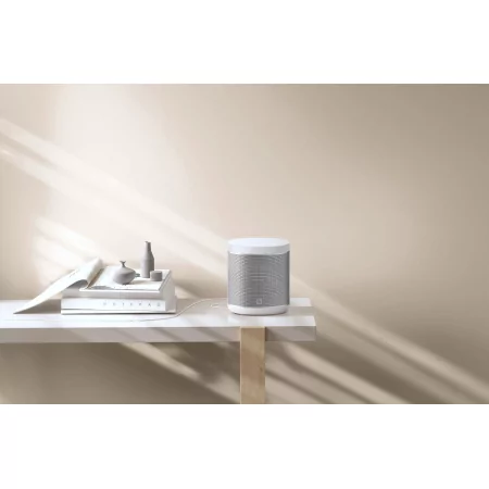 Kontrolsat - Xiaomi Mi Smart Speaker Google Assistant QBH4190GL