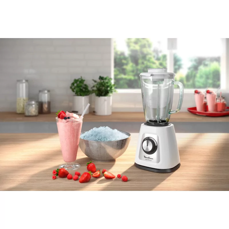 Kontrolsat - Moulinex Blender - LM-430110 CX.1