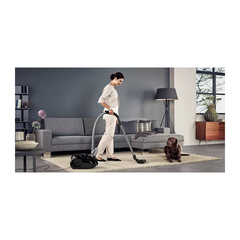 Kontrolsat - Aspirador com Saco AEG - 650 W - 70 dB - VX7-2-EB-P