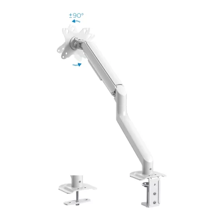 Kontrolsat - TooQ Table Stand - 1 Screen - 17" / 32" - White - DB4032TNR-W