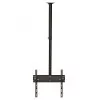 Suporte TV - 39" a 65" - De Teto Inclinação