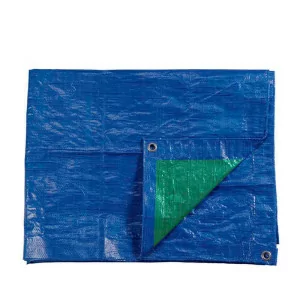 Capa Plástica EdM - 6x10m -...