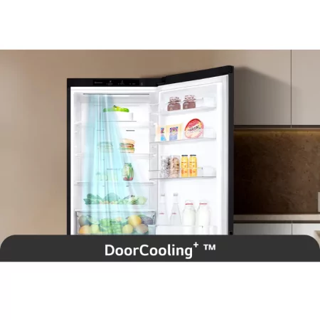 LG GBV22NCBEP Fridge Freezer (387L - Class B - Black)