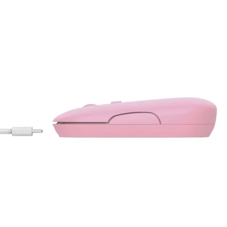 Kontrolsat - 
