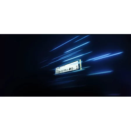 Kontrolsat - SSD M.2 2280 Kingston - 250GB - PCIe 4.0 NVMe