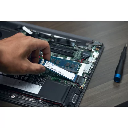 Kontrolsat - SSD M.2 2280 Kingston - 250GB - PCIe 4.0 NVMe