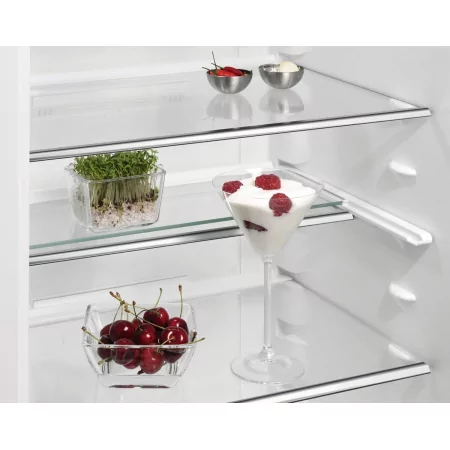 Kontrolsat - AEG 1 Door Refrigerator - 310L - SKE818E1DS