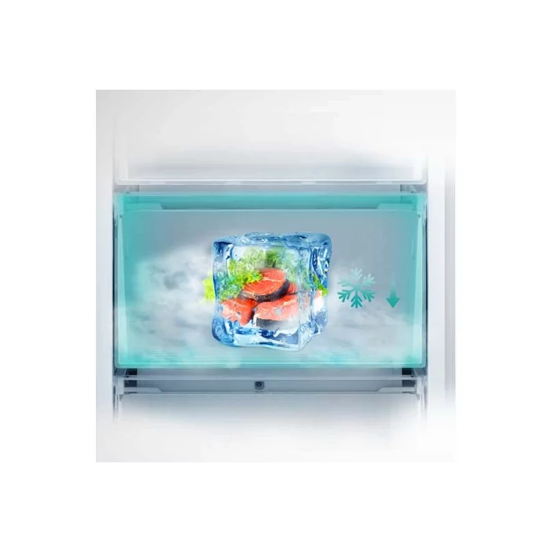 Kontrolsat - Hisense RB440N4ACD Fridge Freezer (336L - Class D - Inox)