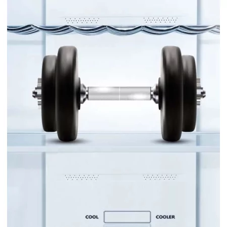 Kontrolsat - Hisense RB440N4ACD Fridge Freezer (336L - Class D - Inox)
