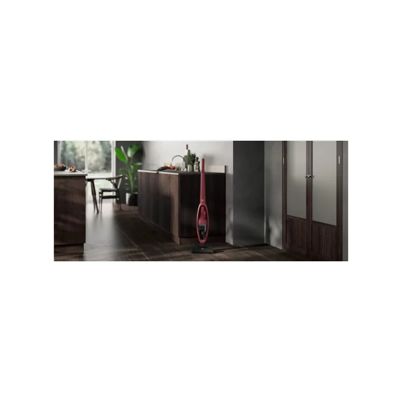 Kontrolsat - AEG - Vertical Vacuum Cleaner AS31CB18CR