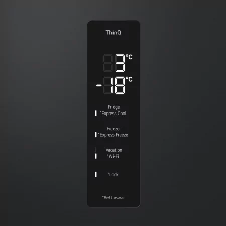 Kontrolsat - LG GBV7270DEV Fridge Freezer (387L - Class D - Black)