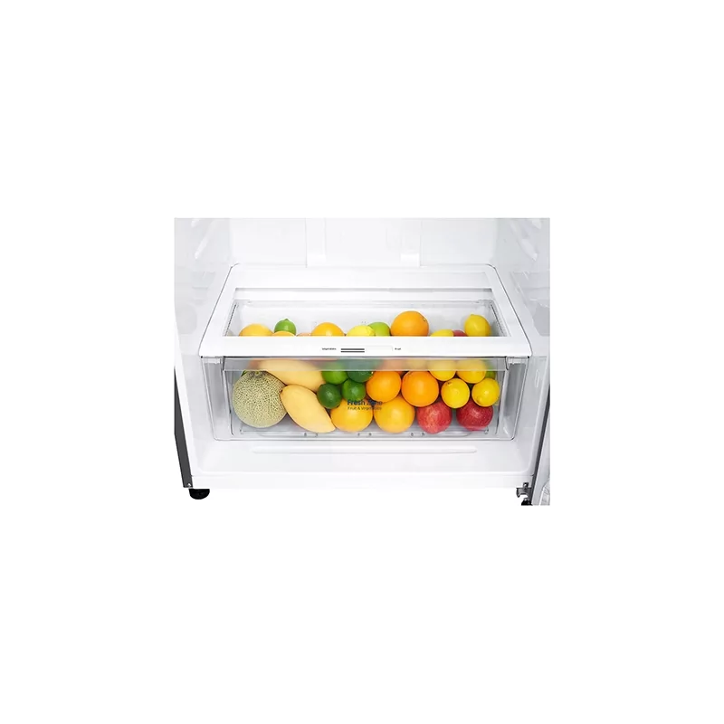 Kontrolsat - LG GTF744PZPED Refrigerator (509L - Class E - Platinum)