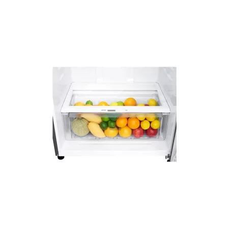 Kontrolsat - LG GTF744PZPED Refrigerator (509L - Class E - Platinum) Kontrolsat - LG GTF744PZPED Refrigerator (509L - Class E - Platinum)