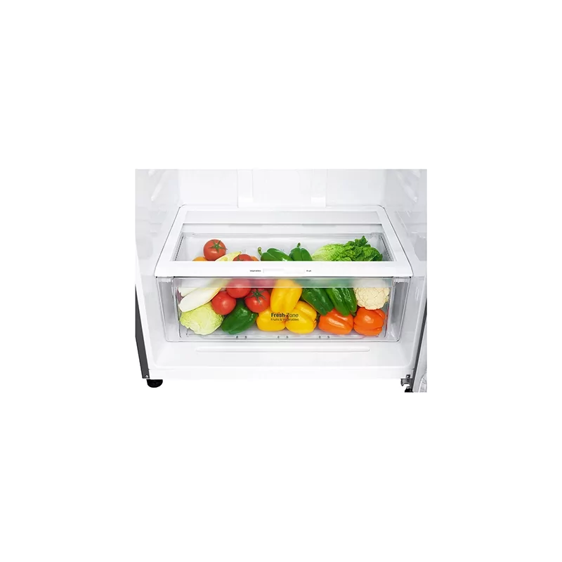 Kontrolsat - LG GTF744PZPED Refrigerator (509L - Class E - Platinum)