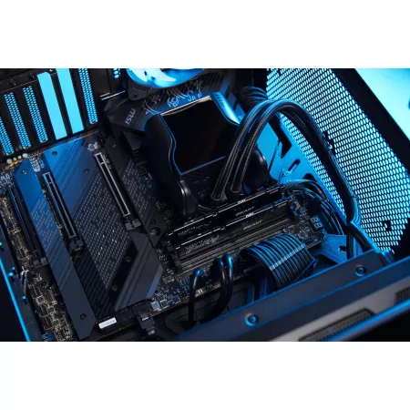 Kontrolsat - Kingston FURY Beast DDR5 16GB 5600MT/s CL36 - High Performance Memory