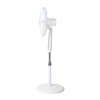 Standing Fans