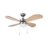 Ceiling Fans